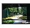 Một chiếc ô tô đang chạy với ánh đèn xuyên qua khu rừng xanh rậm rạp trên màn hình TV. TV QLED thể hiện chính xác màu sắc sáng và tối bằng cách bắt các chi tiết nhỏ.